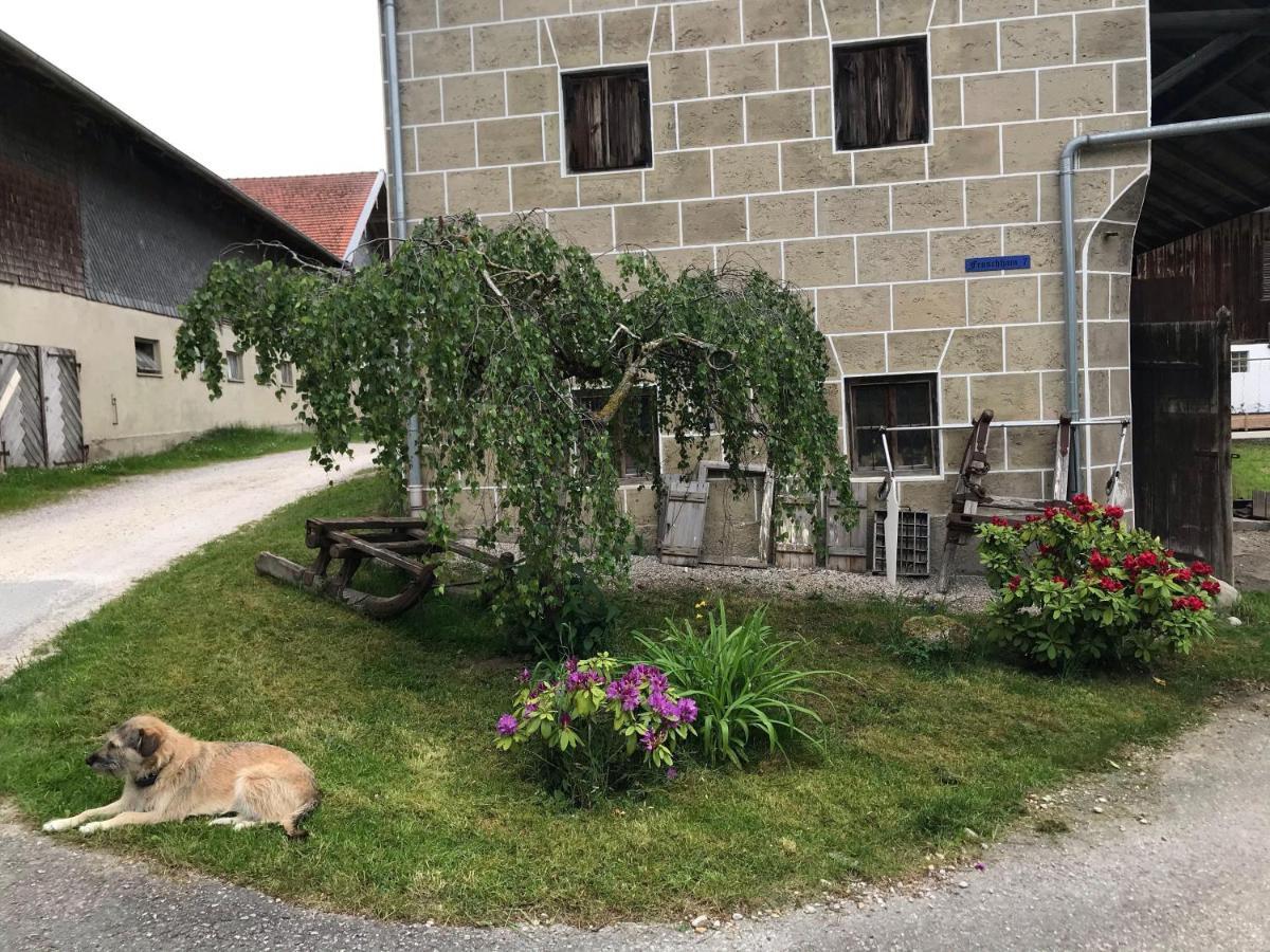 Pferdehof-Dietzsch Tittmoning Eksteriør billede